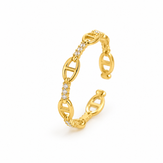 Anillo CD brillos